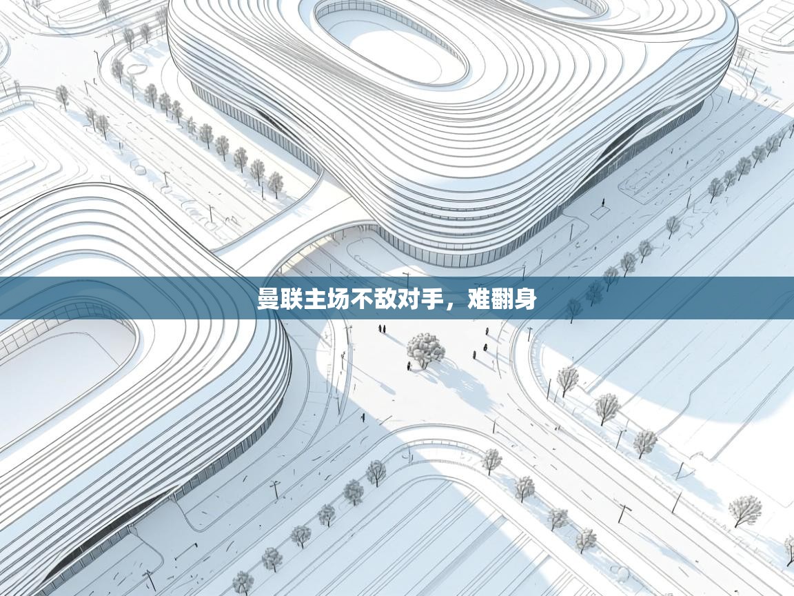 曼联主场不敌对手，难翻身  第2张